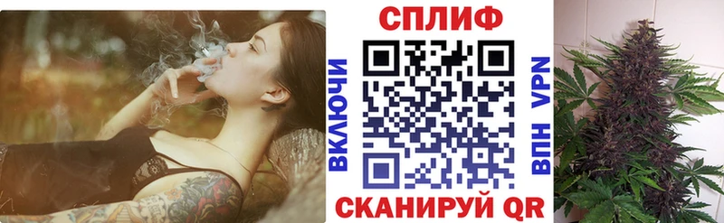Шишки марихуана тримм  Городовиковск 